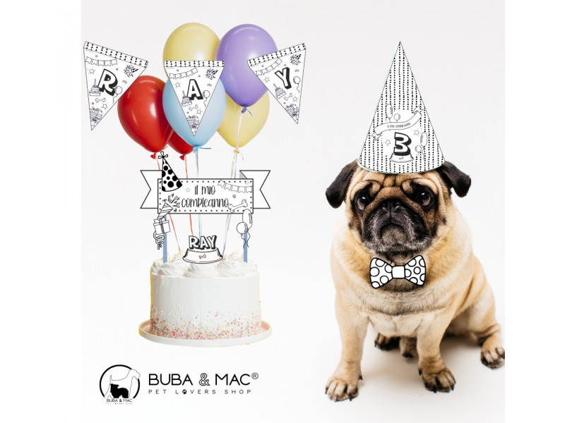 Party kit, customized dog birthday