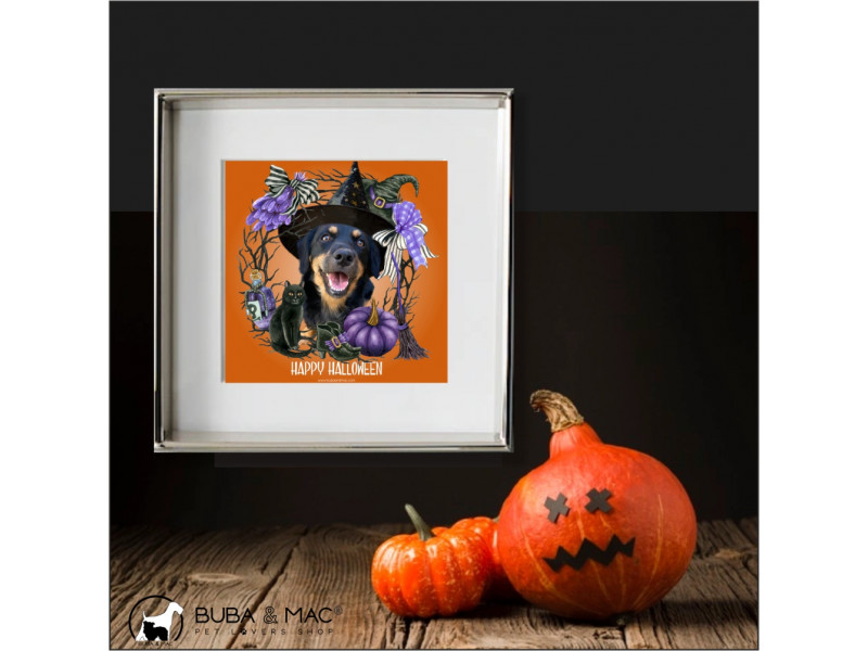 Quadretto streghetta Halloween per cani