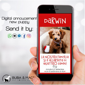Annuncio Digitale per WhatsApp nuovo cucciolo mod. darwin