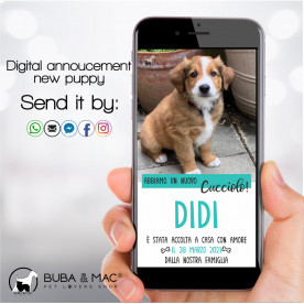 Puppy digital announcement...