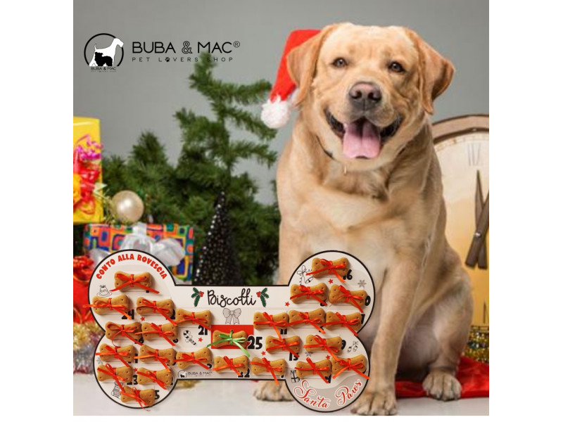 Dog Advent Calendar