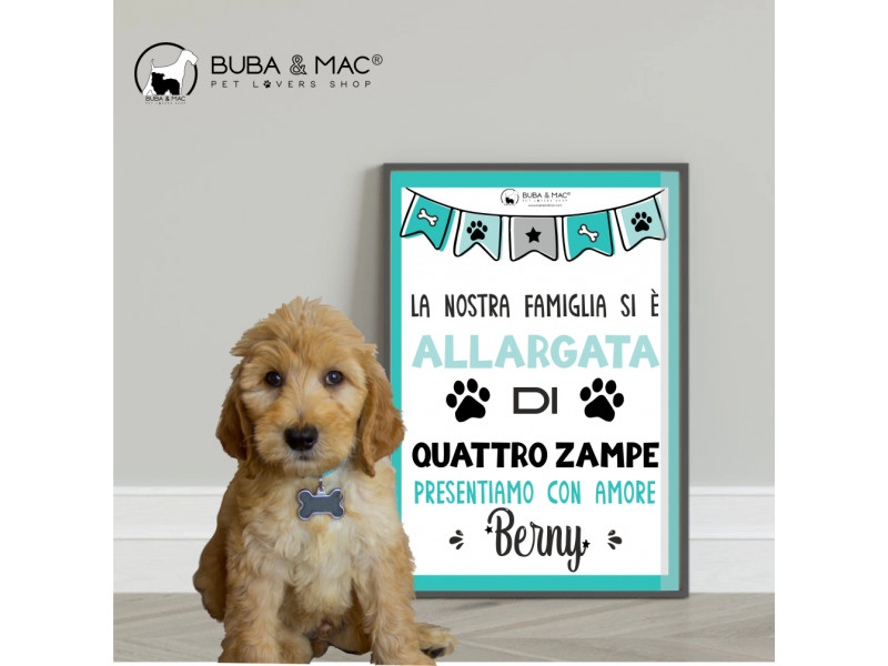 Frame ad of the arrival of the new puppy