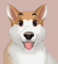 Laminas digitales personalizadas | Buba and Mac The pet lovers shop
