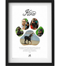 Commemorative frames| Buba and Mac The pet lovers shop